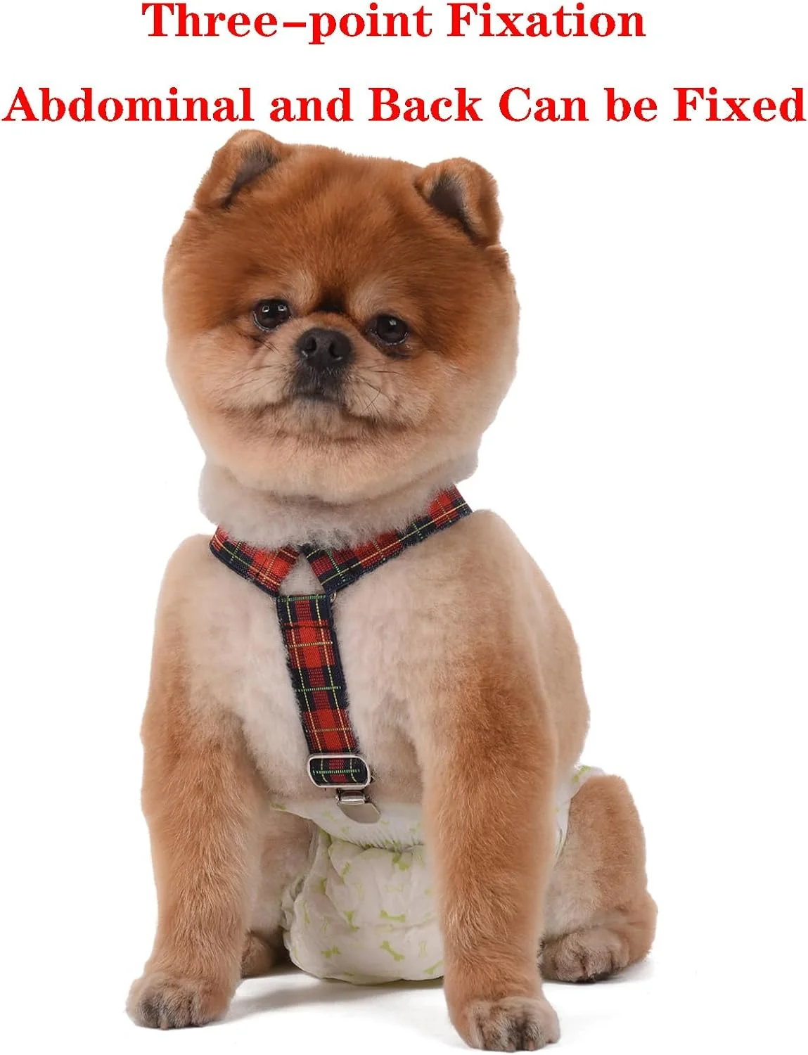 نگهدارنده پوشک سگ TESSVEYA، بند شلوار سگ برای سگ های نر یا ماده، نگهدارنده لباس سگ، دامن سگ