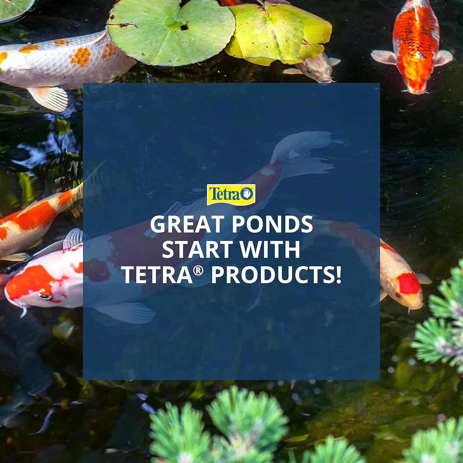 پدهای جایگزین بیوفیلتر TetraPond Clear Choice