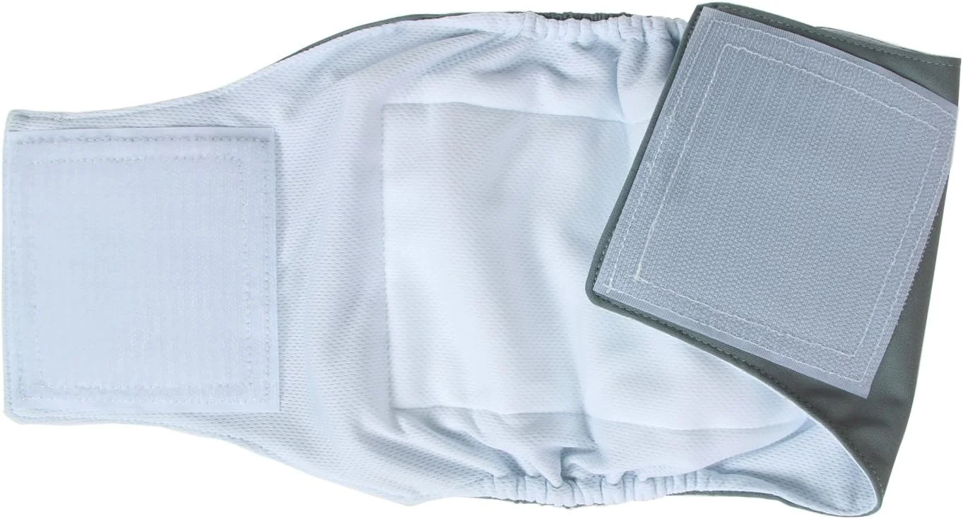 ست چهارتایی پوشک سگ نر Teamoy، نوار شکمی توله سگ قابل شستشو (سایز M، مشکی+ خاکستری+ سبز+ بنفش)