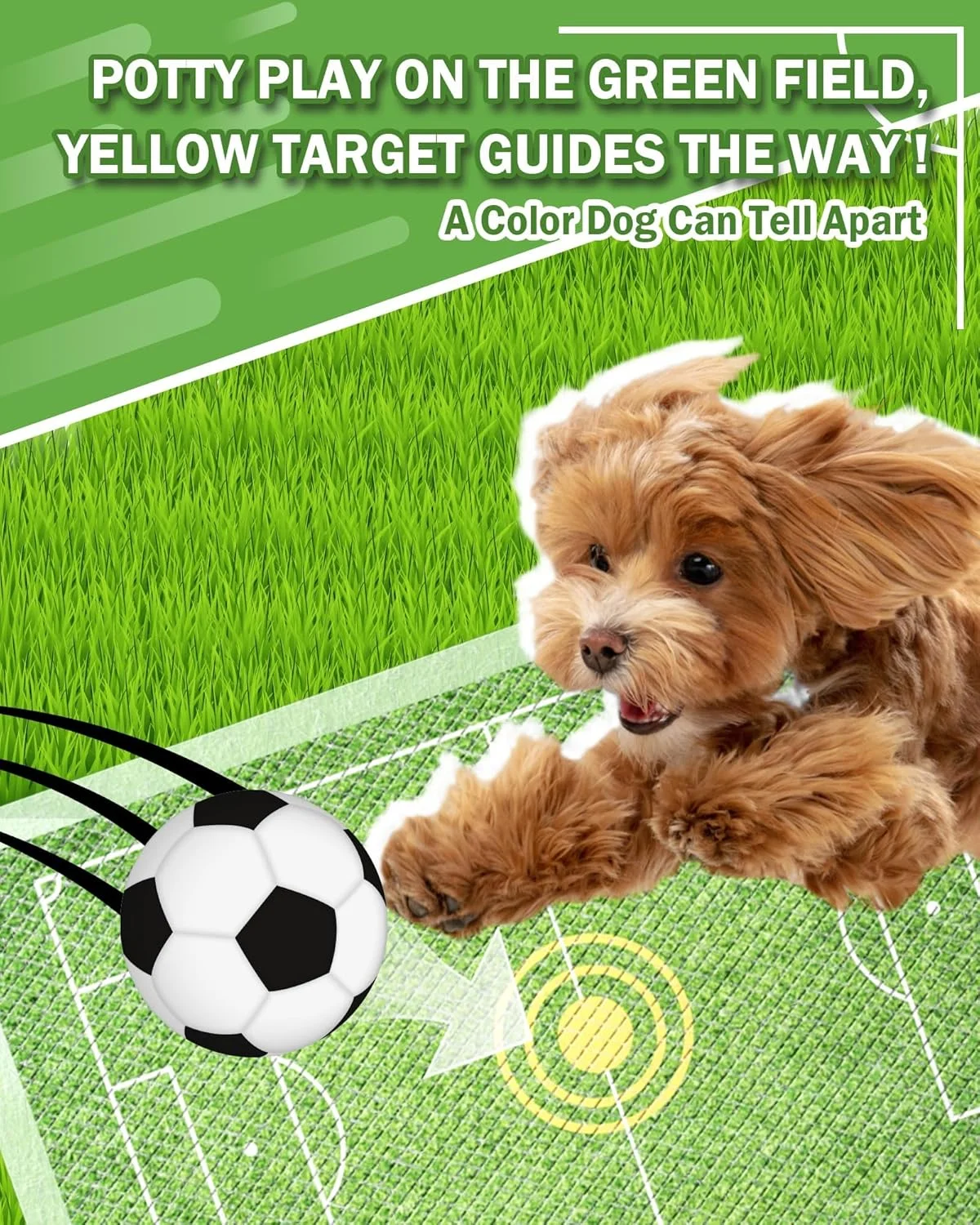 پدهای ادرار سگ Tazweeq، پد یکبار مصرف هدف دار سگ، طراحی زمین فوتبال، پد فوق العاده جاذب برای حیوانات خانگی، توله سگ، گربه