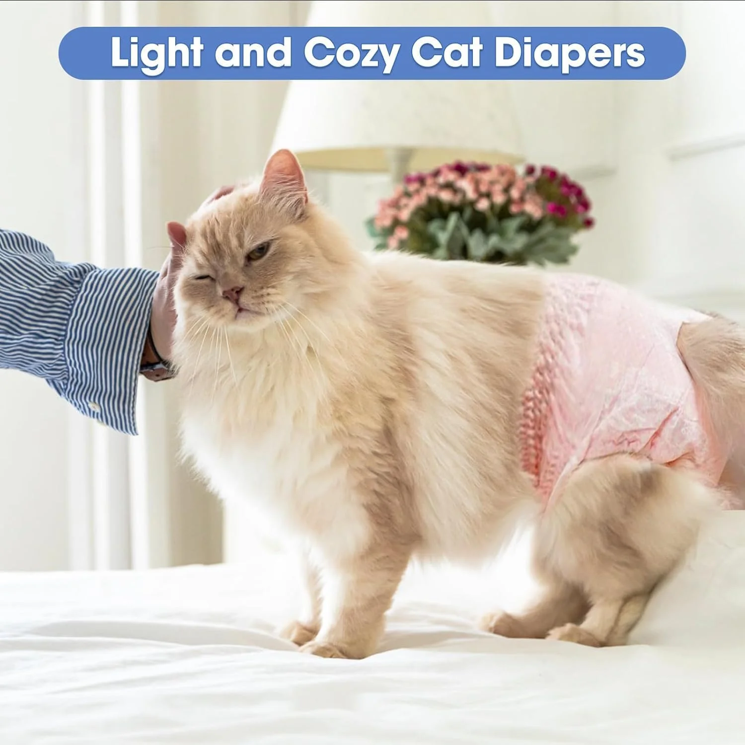 پوشک گربه، دور کمر کشسان برای گربه های نر و ماده - صورتی، فوق العاده جاذب و ضد نشت برای گربه ها و سگ ها (10، S) پوشک گربه، دور کمر کشسان برای گربه های نر و ماده - صورتی، فوق العاده جاذب و ضد نشت برای گربه ها و سگ ها (10، S)