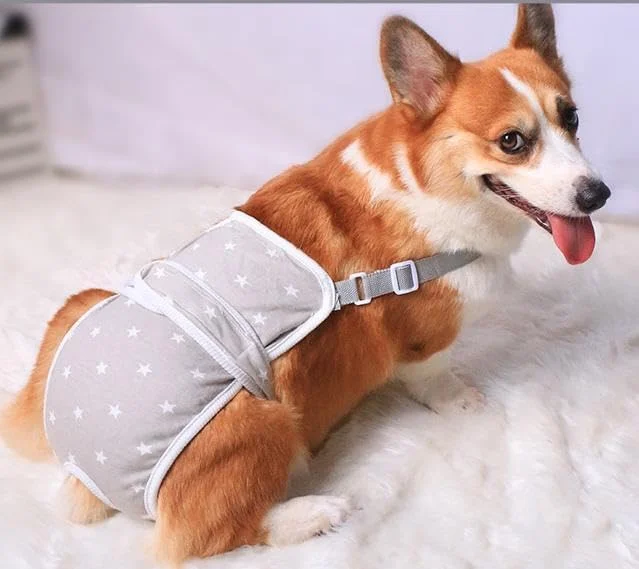 1 عدد بند نگهدارنده پوشک سگ، شورت بهداشتی سگ قابل شستشو با طرح زیبا، پوشک سگ ضد فرار، بهداشتی قابل استفاده مجدد برای سگ های کوچک و متوسط (خاکستری، M، تعداد، 1)