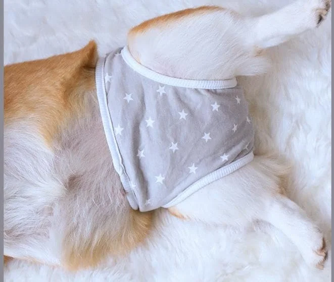 1 عدد بند نگهدارنده پوشک سگ، شورت بهداشتی سگ قابل شستشو با طرح زیبا، پوشک سگ ضد فرار، بهداشتی قابل استفاده مجدد برای سگ های کوچک و متوسط (خاکستری، M، تعداد، 1)