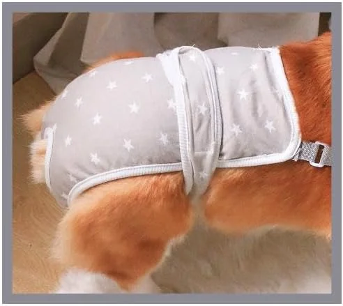 1 عدد بند نگهدارنده پوشک سگ، شورت بهداشتی سگ قابل شستشو با طرح زیبا، پوشک سگ ضد فرار، بهداشتی قابل استفاده مجدد برای سگ های کوچک و متوسط (خاکستری، M، تعداد، 1)