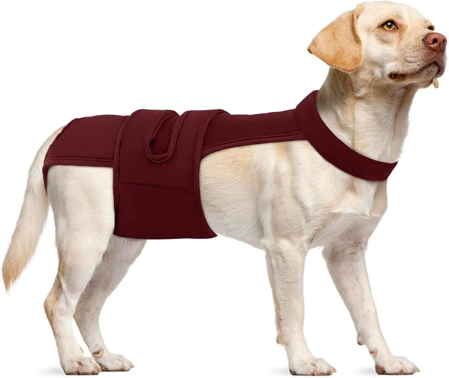 شورت بهداشتی سگ Leletail، قابل شستشو و استفاده مجدد، با بند قابل تنظیم، شورت سگ ضد آزار و اذیت، مناسب برای بی اختیاری، دوران قاعدگی یا سگ های مسن (XS-XL)