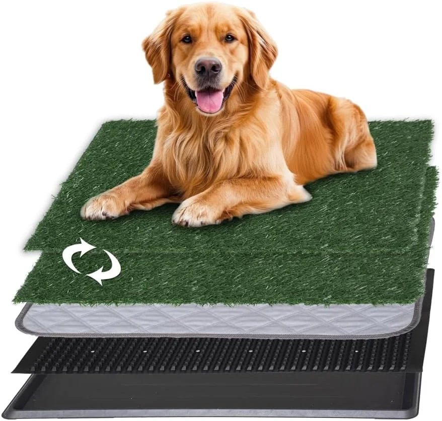 جعبه دستشویی چمن مصنوعی قابل استفاده مجدد حیوانات خانگی سووویو با 2 بسته چمن مصنوعی تعویض شدنی، جاذب سریع، قابل حمل، مناسب آموزش حیوانات خانگی در فضای داخلی، پاسیو، قابل شستشو، پد ادرار، جعبه توالت (بزرگ - 50x76 سانتی متر)