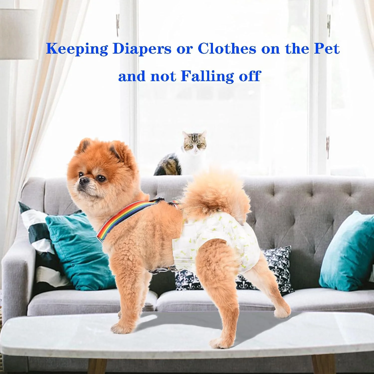 نگهدارنده پوشک سگ 2 عددی | بند شلوار سگ با قابلیت تنظیم | کمربند شکمی سگ | لباس و نگهدارنده پوشک توله سگ | مناسب برای سگ های کوچک، متوسط و بزرگ (رنگین کمان، آبی، M) نگهدارنده پوشک سگ 2 عددی | بند شلوار سگ با قابلیت تنظیم | کمربند شکمی سگ | لباس و نگهدارنده پوشک توله سگ | مناسب برای سگ های کوچک، متوسط و بزرگ (رنگین کمان، آبی، M)