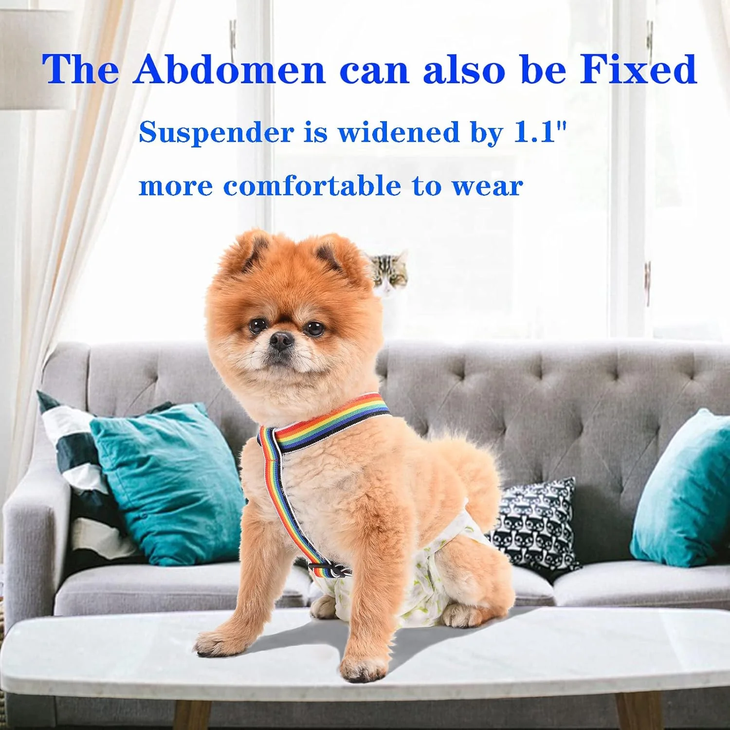 نگهدارنده پوشک سگ 2 عددی | بند شلوار سگ با قابلیت تنظیم | کمربند شکمی سگ | لباس و نگهدارنده پوشک توله سگ | مناسب برای سگ های کوچک، متوسط و بزرگ (رنگین کمان، آبی، M) نگهدارنده پوشک سگ 2 عددی | بند شلوار سگ با قابلیت تنظیم | کمربند شکمی سگ | لباس و نگهدارنده پوشک توله سگ | مناسب برای سگ های کوچک، متوسط و بزرگ (رنگین کمان، آبی، M)
