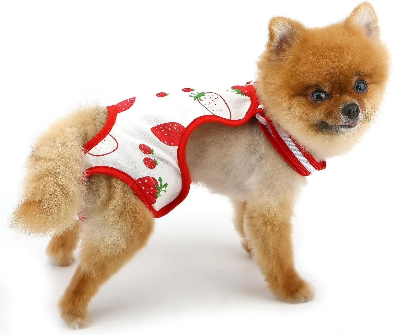 شورت بهداشتی سگ، شلوار حیوانات خانگی توت فرنگی زیبا، شورت توله سگ با بندهای قابل تنظیم، قابل شستشو و استفاده مجدد، لباس گربه چاپی دوست داشتنی
