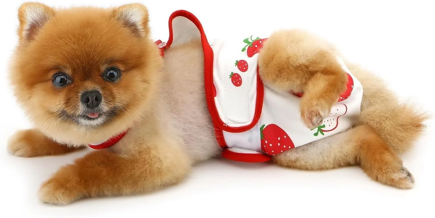 شورت بهداشتی سگ، شلوار حیوانات خانگی توت فرنگی زیبا، شورت توله سگ با بندهای قابل تنظیم، قابل شستشو و استفاده مجدد، لباس گربه چاپی دوست داشتنی