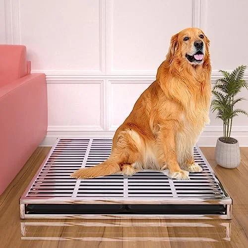 توالت سگ استیل ضد زنگ، توالت حیوانات خانگی استیل ضد زنگ، سینی آموزش توالت سگ، آموزش دهنده توالت سگ با سینی کشویی، پنجه های حیوان خانگی شما را خشک نگه می دارد، از کف محافظت می کند، برای حمام سگ های کوچک و بزرگ