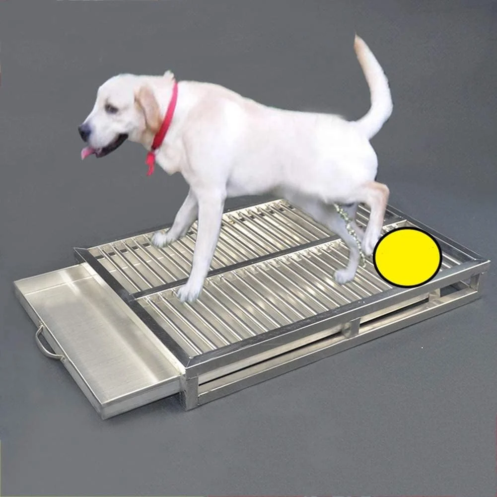 توالت سگ، توالت سگ استیل ضد زنگ، سینی آموزش حیوانات خانگی استیل ضد زنگ، پد آموزش توله سگ در فضای داخلی، ظرفیت بزرگ آموزش حیوانات خانگی، تشک ضد لغزش ضد پاشش، محافظت از کف، تمیز کردن آسان