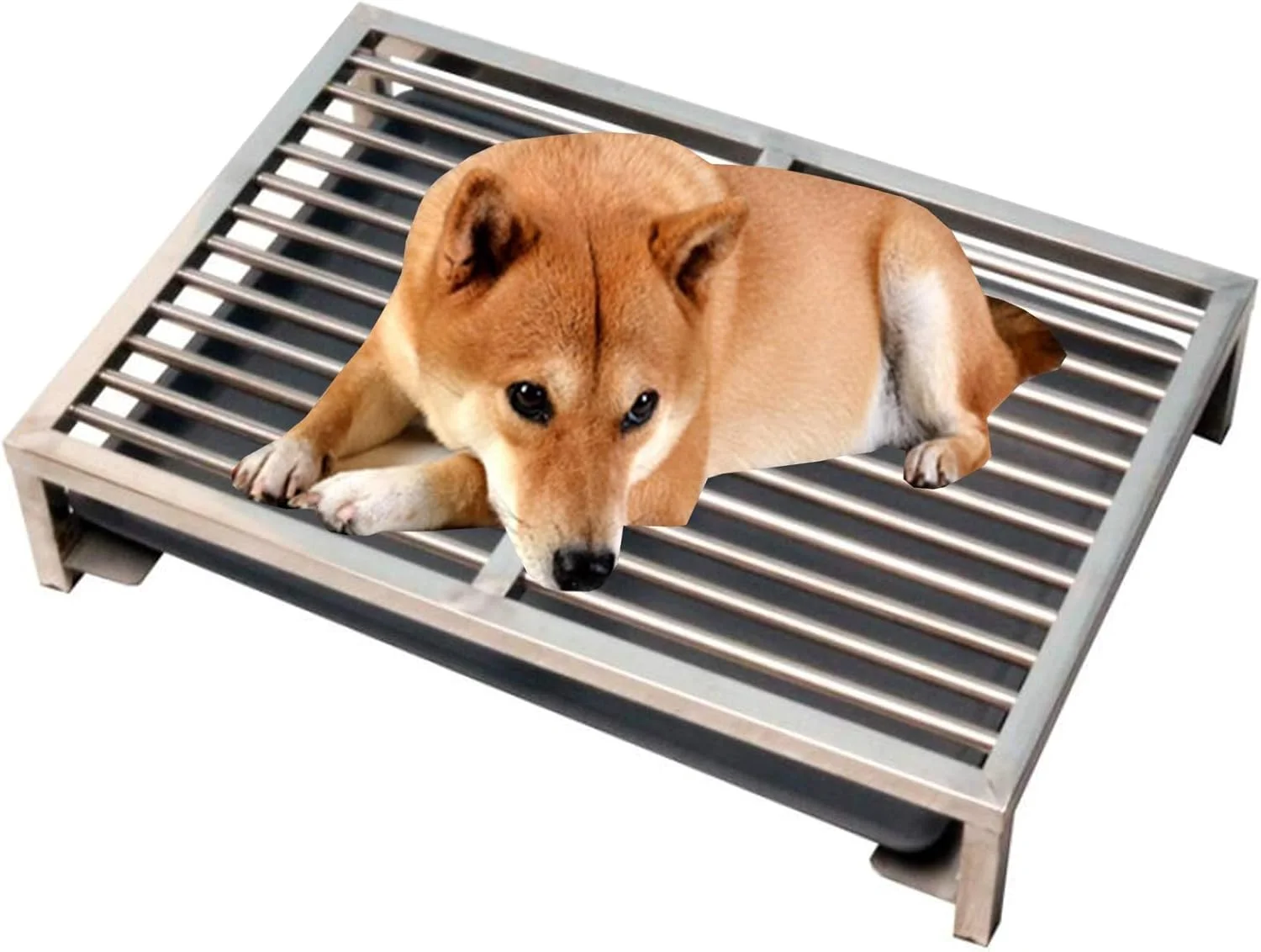 سینی آموزش ادرار سگ از جنس استیل ضد زنگ - جعبه بستر حیوانات خانگی کوچک، متوسط ​​و بزرگ - نگهدارنده پد ادرار توله سگ برای قفس سگ، پاسیو و حمام (رنگ: سینی پلاستیکی، سایز: بزرگ)