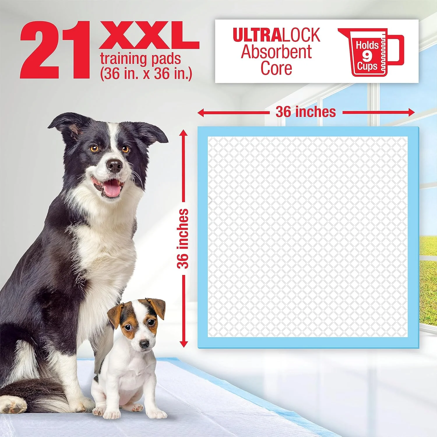 پدهای آموزشی فوق العاده بزرگ Lil' SQUIRTS برای سگ های بزرگتر و خانه های دارای چند سگ، اندازه پد 90x90 سانتی متر، 21 عدد در هر بسته، متنوع (82003)