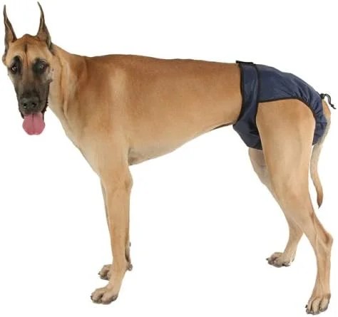 شورت بهداشتی سگ قابل شستشو، خیلی کوچک