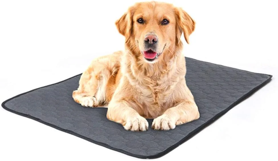 پدهای آموزش ادرار سگ، پدهای پوشک حیوانات خانگی قابل استفاده مجدد (M: 60 * 45 سانتی متر)