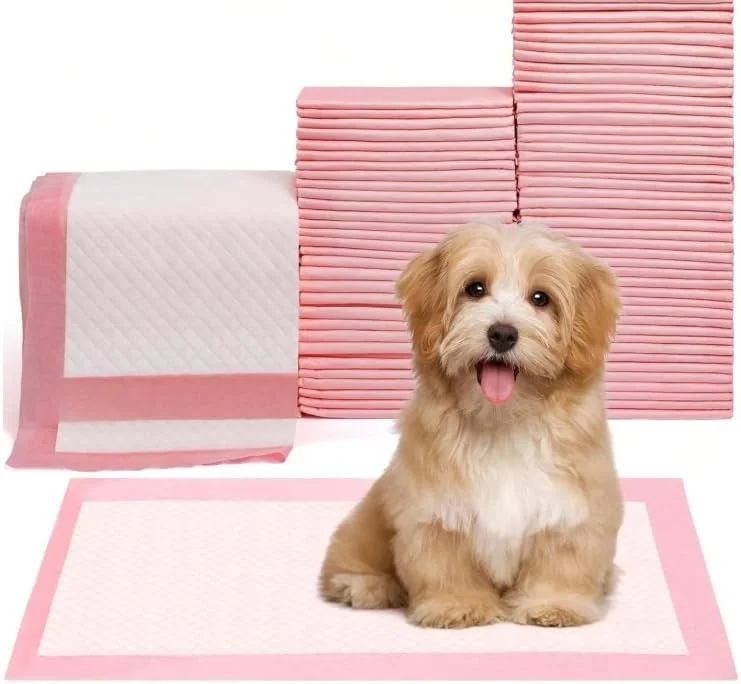 پدهای آموزش ادرار توله سگ - پد جاذب ادرار سگ - ضد نشت، فناوری خشک شدن سریع - ایده آل برای آموزش دستشویی، سگ های کوچک - (بسته 10 عددی) 33x45 سانتی متر