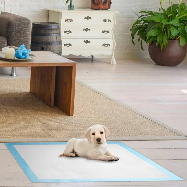 پد آموزشی ساده، بسته 25 عددی، مناسب برای آموزش ادرار، 60x40، جاذب و ضد نشت، ایده آل برای حیوانات خانگی