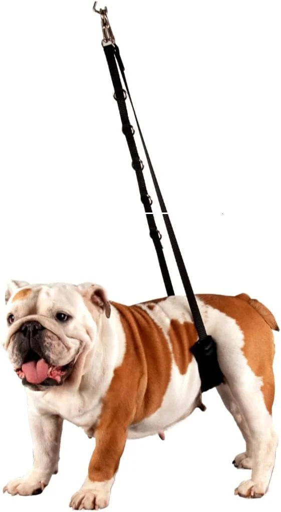 بند شکمی راحت سگ Show Tech - سایز کوچک