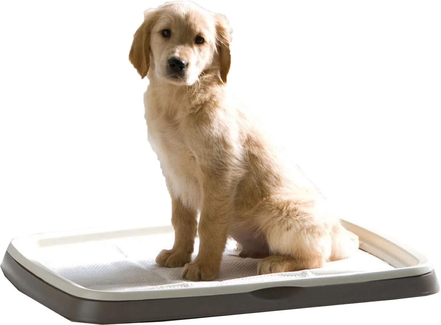 ست آموزش ادرار سگ ساویچ، بزرگ، 62.5 x 48 x 4 سانتی متر، 7 پد 60 x 45 سانتی متر