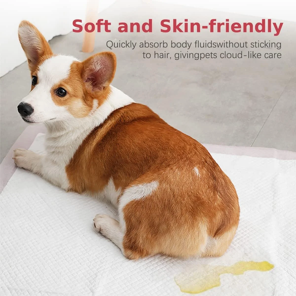 پدهای آموزشی حیوانات خانگی Silk Route - پد ادرار یکبار مصرف برای سگ، توله سگ، گربه، خرگوش و سایر حیوانات خانگی، خشک شدن سریع، بدون نشتی، فوق العاده جاذب، 45x30 سانتی متر، سایز کوچک - 100 عدد، صورتی