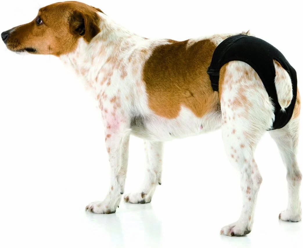 زیرانداز بهداشتی سگ ساویچ مدل Doggli ضد لغزش مشکی سایز 1 زیرانداز بهداشتی سگ ساویچ مدل Doggli ضد لغزش مشکی سایز 1