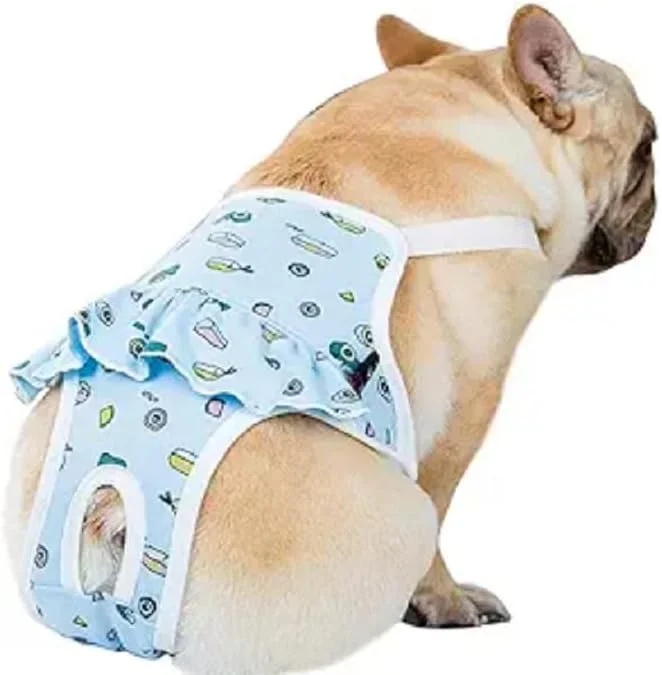 لباس زیر بهداشتی نخی سگ با بند شانه قابل تنظیم، شلوار فیزیولوژیکی، لباس زیر حیوانات خانگی، جامپسوت پوشکی، مناسب برای سگ های ماده (آبی، XL) لباس زیر بهداشتی نخی سگ با بند شانه قابل تنظیم، شلوار فیزیولوژیکی، لباس زیر حیوانات خانگی، جامپسوت پوشکی، مناسب برای سگ های ماده (آبی، XL)