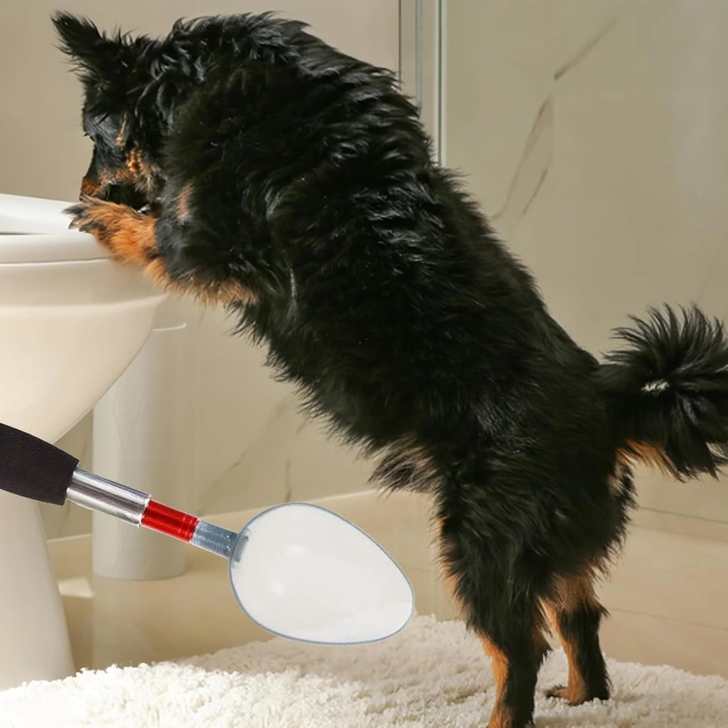 جمع کننده نمونه ادرار سگ | جمع آوری ادرار حیوانات خانگی باردار | جمع کننده ادرار تلسکوپی چند منظوره حیوانات خانگی برای استفاده در خانه، حیاط و مسافرت