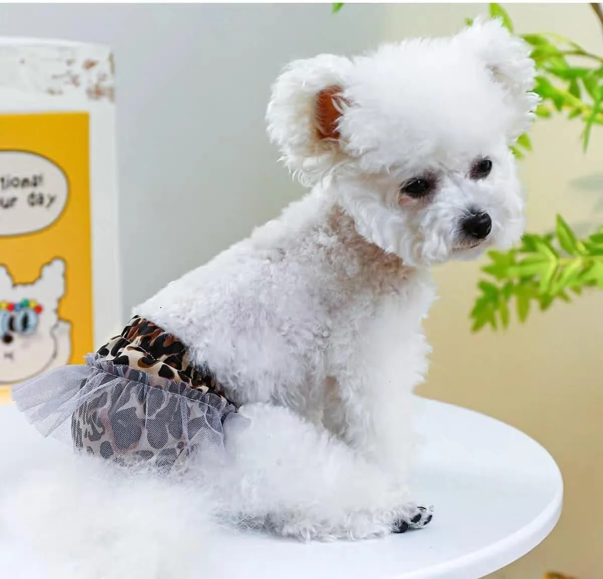 شورت بهداشتی سگ، شورت توری زیبا برای توله سگ، لباس زیر حیوانات خانگی، شورت فیزیولوژیکی برای سگ های ماده (قهوه ای، S، تعداد 1)