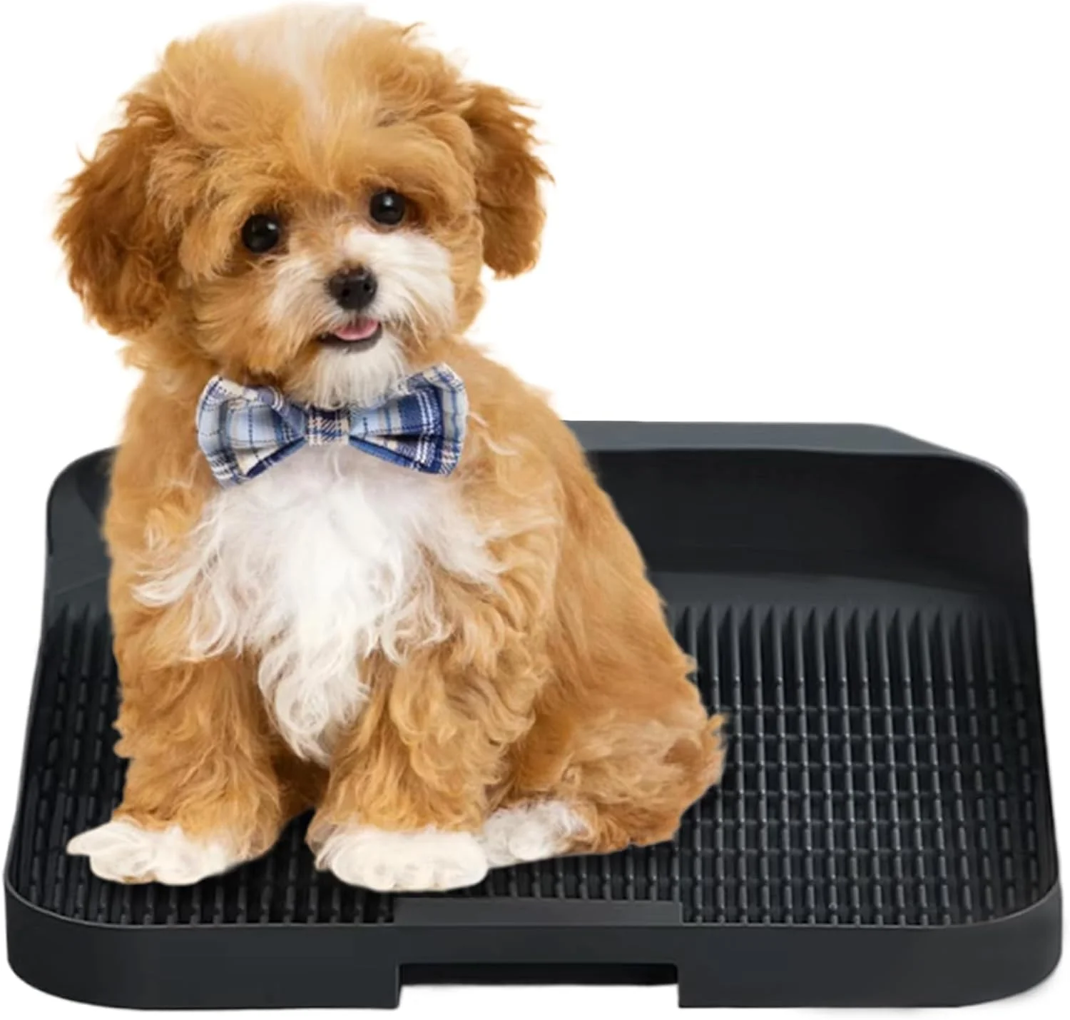 سینی دستشویی قابل حمل سگ، قابل استفاده مجدد و شستشوی آسان با نرده بلند 3.2 سانتی متری، بدون نشتی و حفظ تمیزی کف، آموزش دستشویی سگ سینی دستشویی قابل حمل سگ، قابل استفاده مجدد و شستشوی آسان با نرده بلند 3.2 سانتی متری، بدون نشتی و حفظ تمیزی کف، آموزش دستشویی سگ