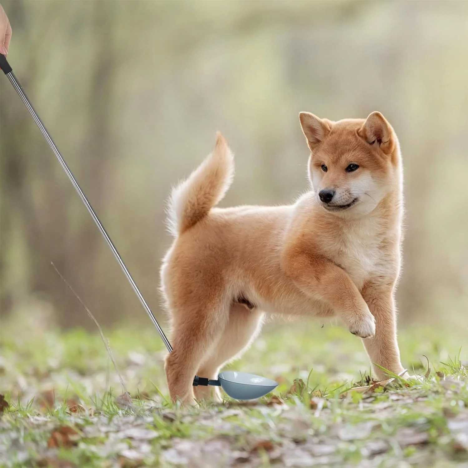 ظرف جمع آوری نمونه ادرار سگ با دسته تلسکوپی - نگهدارنده قابل تنظیم زاویه قابل حمل برای حیوانات خانگی
