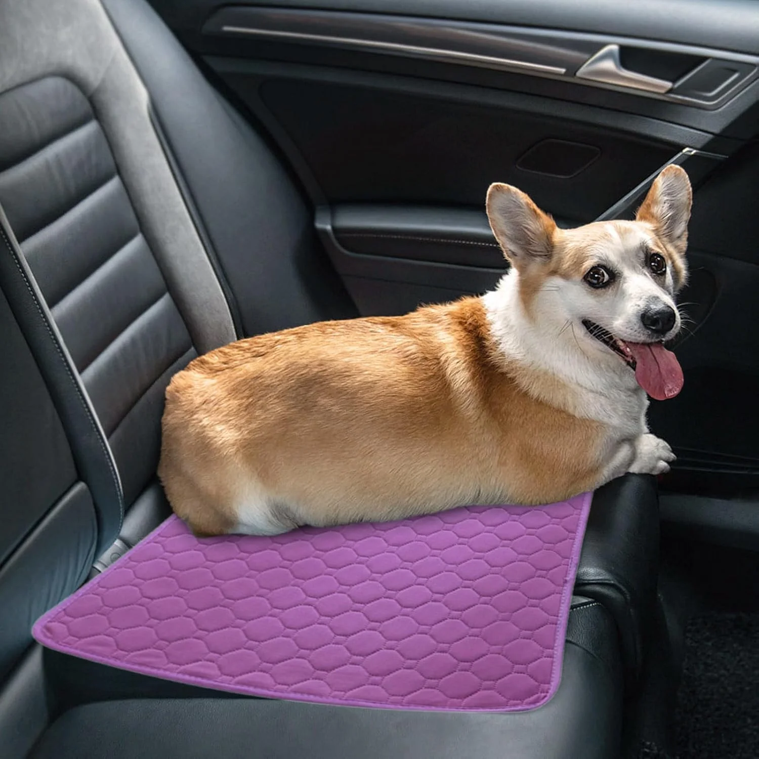 پدهای ادرار قابل شستشو برای سگ، پد ضد آب برای آموزش سگ، لوازم حیوانات خانگی ضد آب برای سفر، مناسب برای انواع نژاد سگ، گربه و بچه گربه