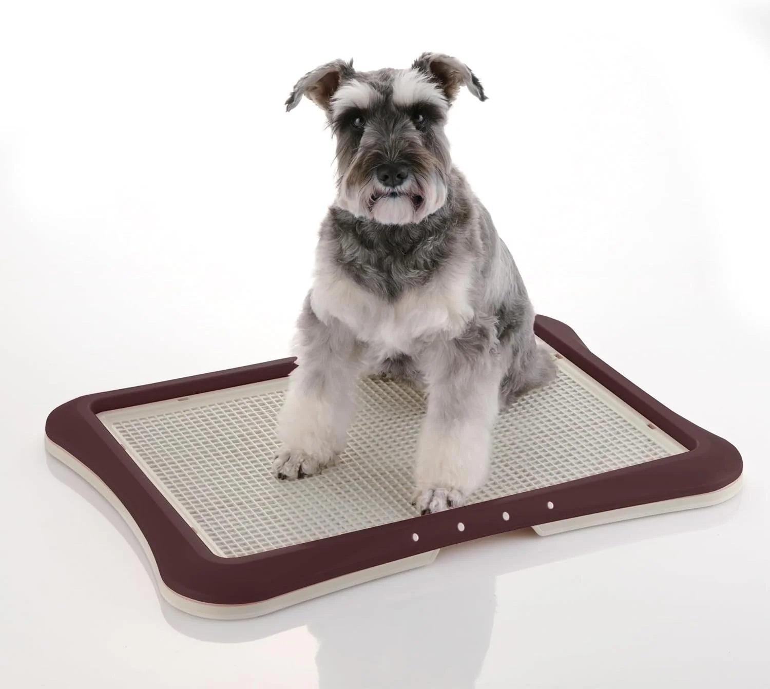 سینی توری آموزش ادرار سگ ریچل Paw Trax، قهوه ای