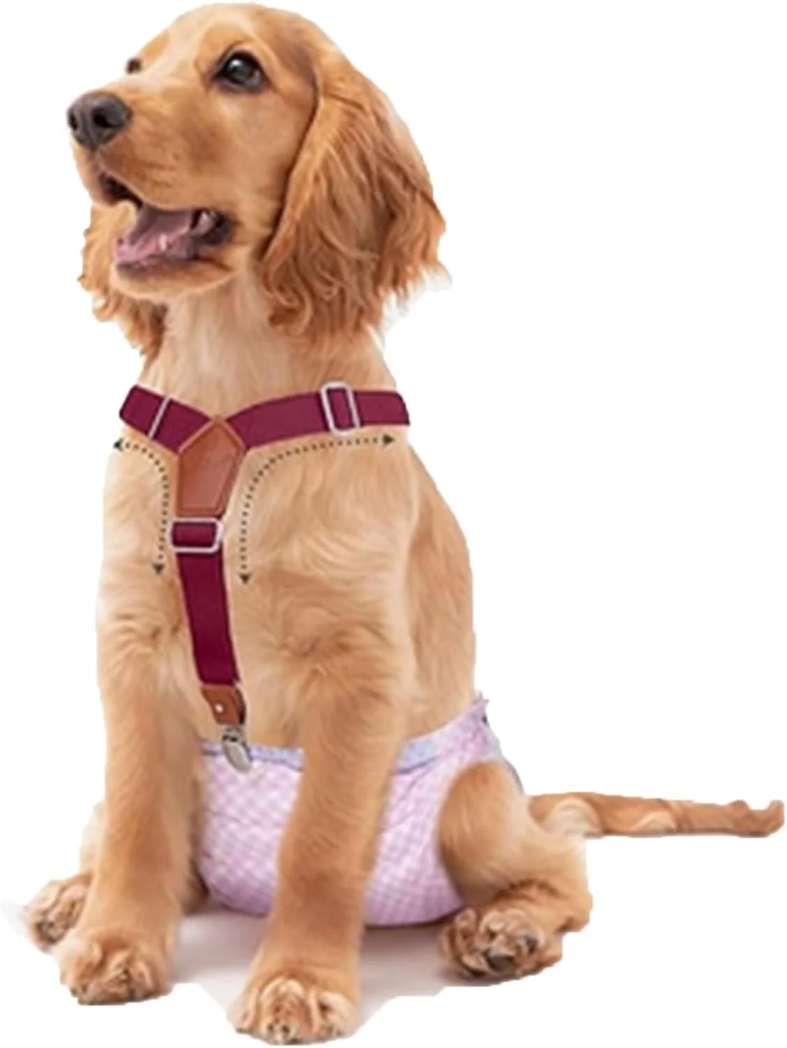 دو عدد بند شلوار سگ نرم حیوانات خانگی rflaueo، بند شلوار سگ کوچک، قابل شستشو و قابل تنظیم برای نگهداری پوشک سگ، بند شلوار سگ ماده، بند شکمی توله سگ برای پوشک سگ (U168-2)