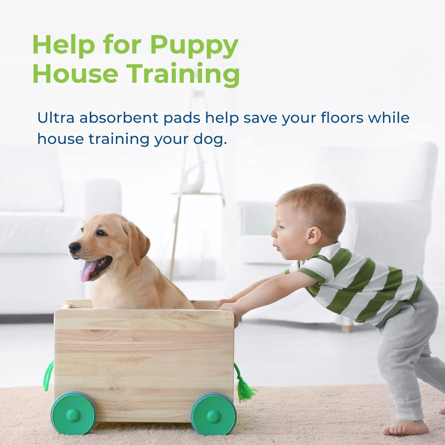 پدهای آموزش ادرار سگ و توله سگ Pawtown Ultra - بسته 32 عددی