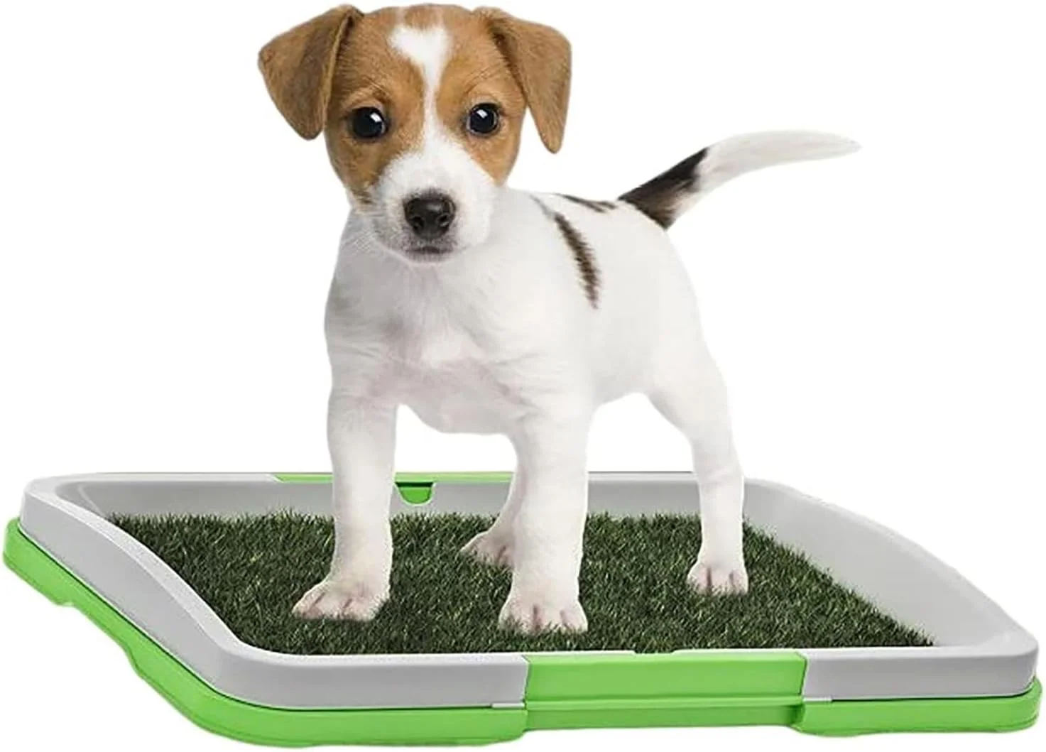 پد چمن توالت سگ، چمن آموزش توالت قابل استفاده مجدد | طراحی سه لایه ضد آب، ضد لغزش، قابل استفاده مجدد، توالت چمنی قابل شستشو برای گربه متوسط