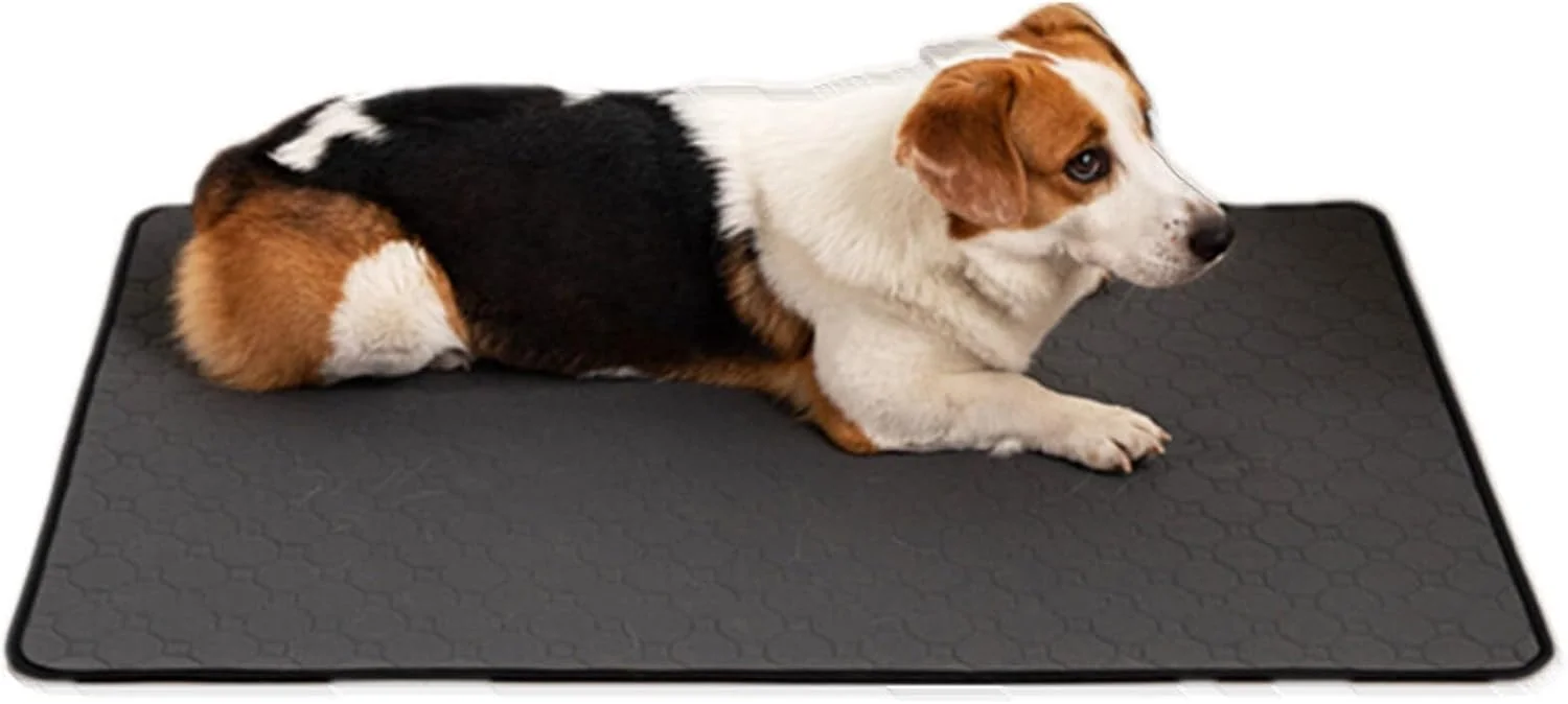 پد آموزشی سگ قابل استفاده مجدد 2 عددی با پشت ضد لغزش، پد آموزشی سبک و قابل حمل با جذب فوری، زیرانداز ضد آب برای مسافرت با ماشین و منزل