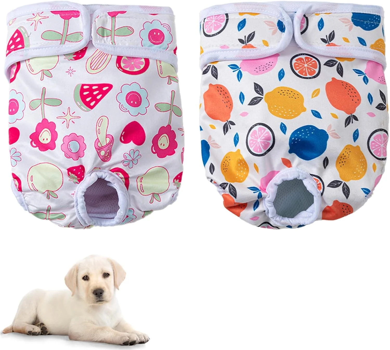 دو بسته پوشک سگ قابل استفاده مجدد، پوشک سگ فوق العاده جاذب، شورت قاعدگی زنانه قابل شستشو برای سگ ها، پوشک بهداشتی توله سگ، 40-50 سانتی متر (M)