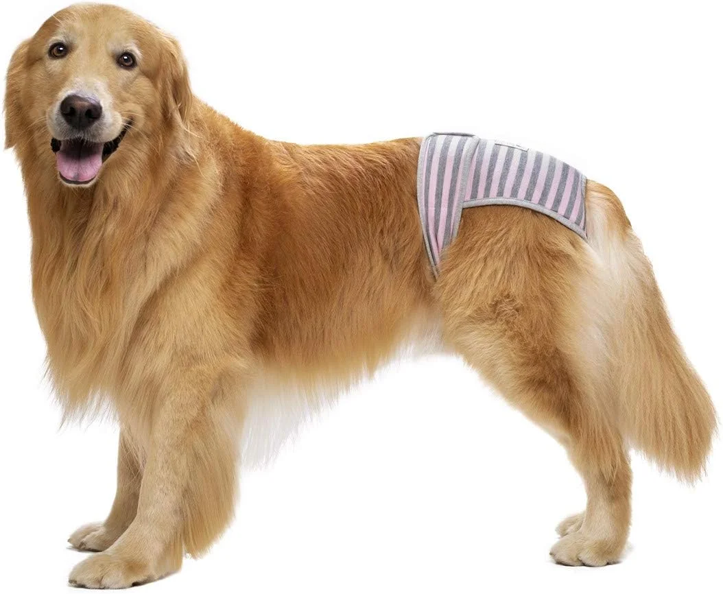 بسته 3 عددی پوشک سگ قابل استفاده مجدد برای سگ های ماده نژاد بزرگ و متوسط، پوشک سگ ماده برای دوران فحلی، بی اختیاری، پوشک سگ برای سگ های ماده با کمر قابل تنظیم چسبی برای سگ های ماده قابل شستشو سایز خیلی بزرگ