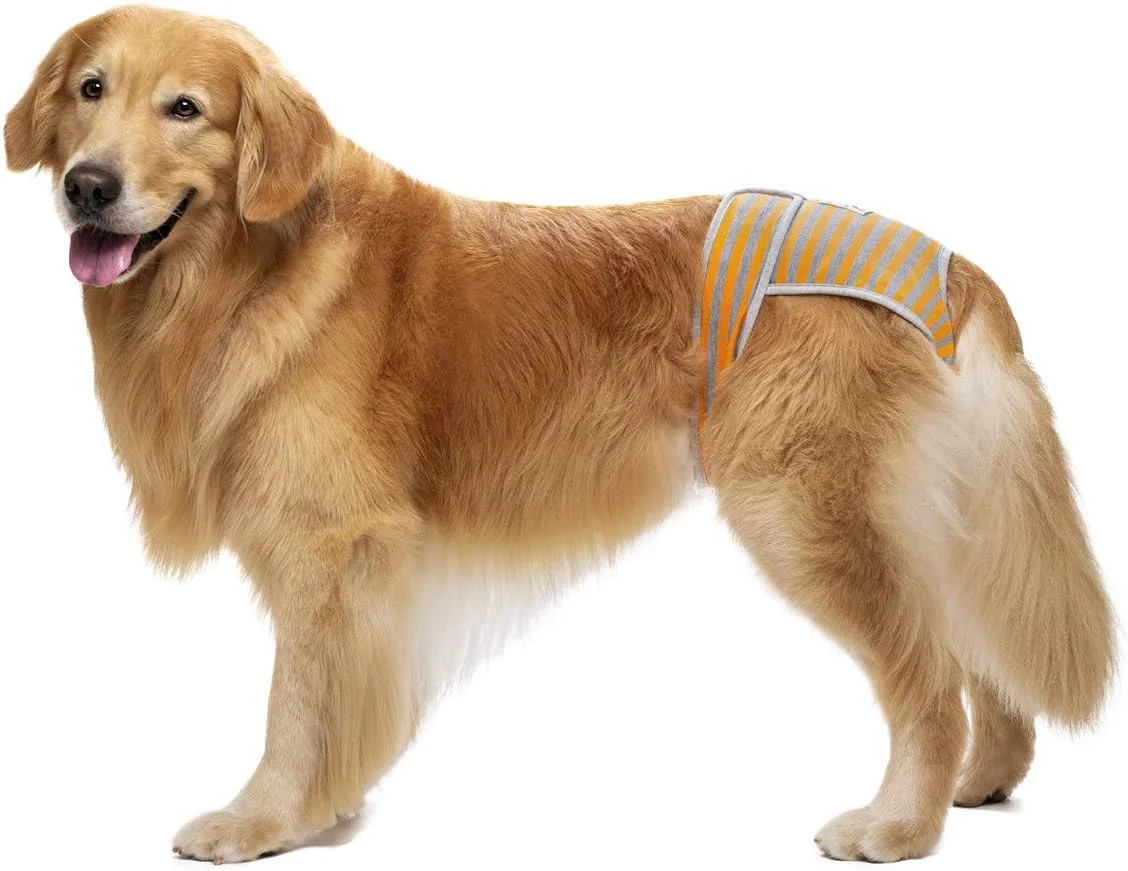 بسته 3 عددی پوشک سگ قابل استفاده مجدد برای سگ های ماده نژاد بزرگ و متوسط، پوشک سگ ماده برای دوران فحلی، بی اختیاری، پوشک سگ برای سگ های ماده با کمر قابل تنظیم چسبی برای سگ های ماده قابل شستشو سایز خیلی بزرگ