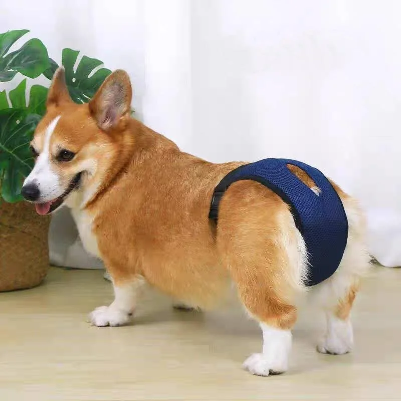 شورت بهداشتی سگ قابل شستشو با 3 لایه جاذب، پد بهداشتی توری تنفسی برای سگ ها، شورت قاعدگی قابل تنظیم برای سگ های کوچک، متوسط ​​و بزرگ - سایز S (آبی)