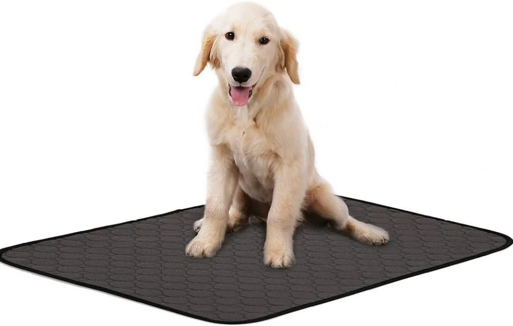پدهای قابل شستشو برای جذب ادرار سگ، پد خواب بستر سگ کوچک، پد جاذب سگ، پد آموزش ادرار توله سگ - خاکستری - سایز بزرگ