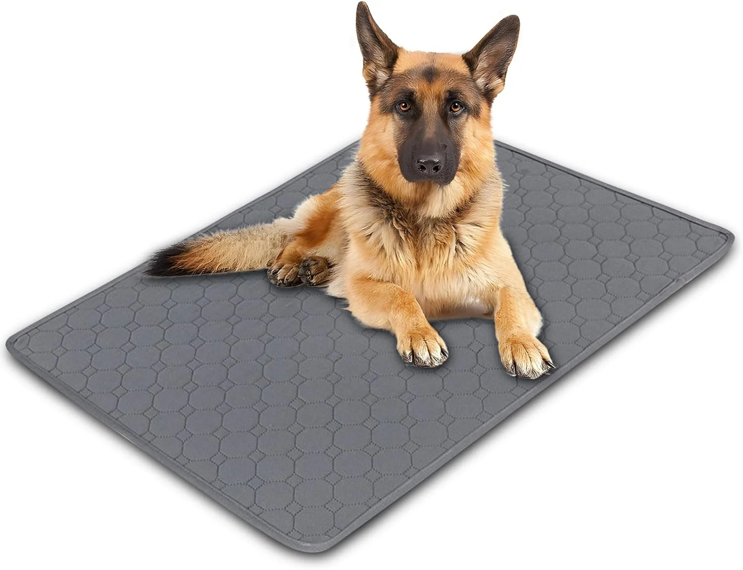 پد قابل استفاده مجدد سگ و گربه رافکرو، سایز 70 در 100 سانتی متر، پد جاذب سریع ادرار برای سگ، گربه و خوکچه هندی