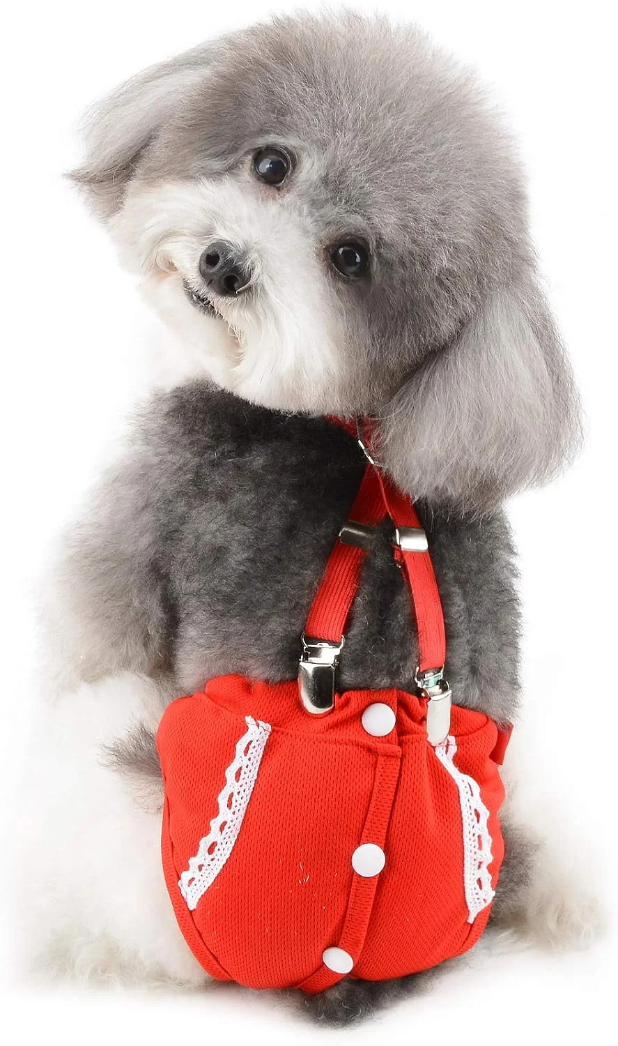 شورت بهداشتی سگ ماده Ranphy با بند شانه ای قابل تنظیم، شورت های تنفسی و قابل استفاده مجدد برای توله سگ، شورت فیزیولوژیکی سگ و گربه کوچک