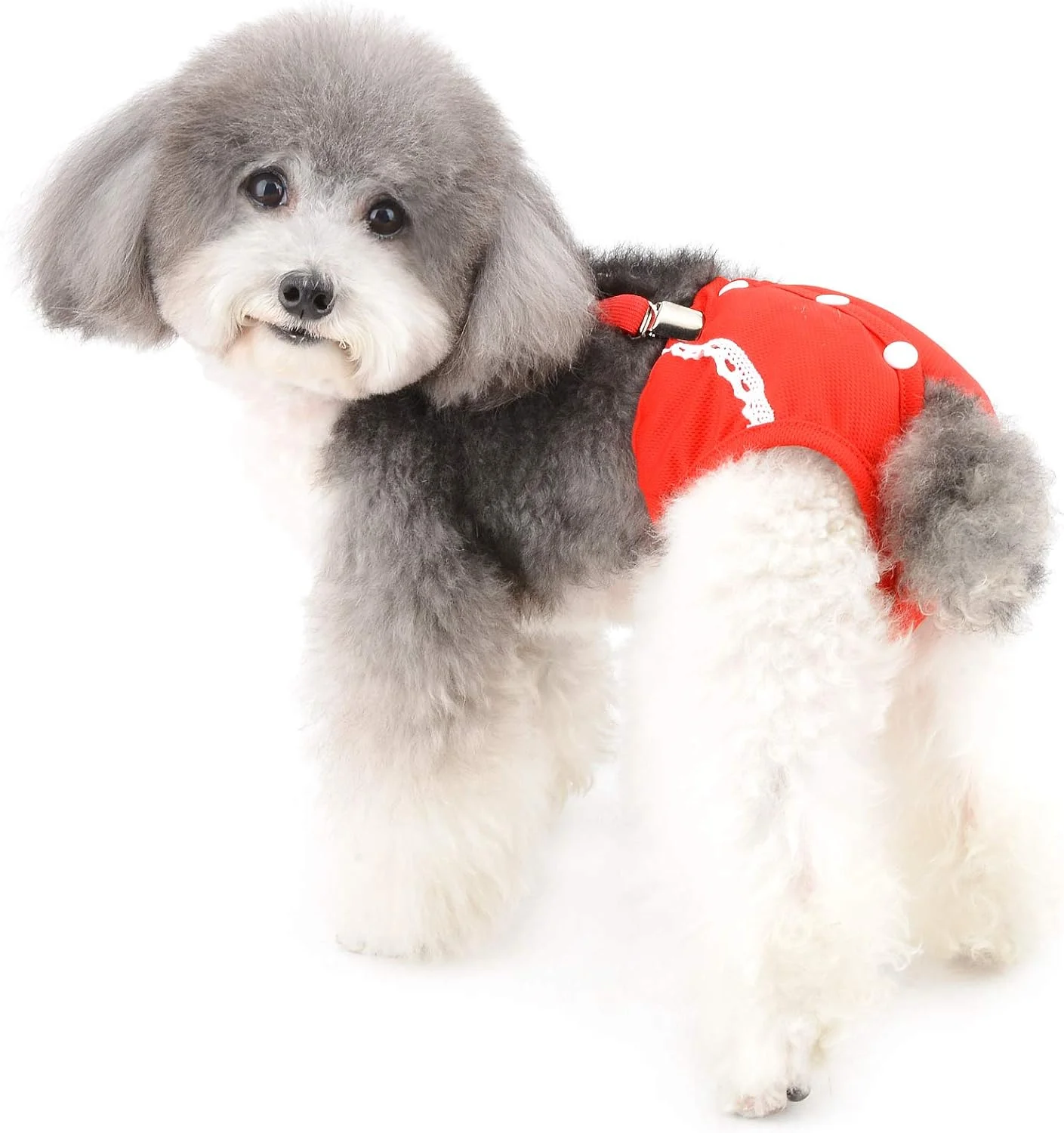 شورت بهداشتی سگ ماده Ranphy با بند شانه ای قابل تنظیم، شورت های تنفسی و قابل استفاده مجدد برای توله سگ، شورت فیزیولوژیکی سگ و گربه کوچک شورت بهداشتی سگ ماده Ranphy با بند شانه ای قابل تنظیم، شورت های تنفسی و قابل استفاده مجدد برای توله سگ، شورت فیزیولوژیکی سگ و گربه کوچک