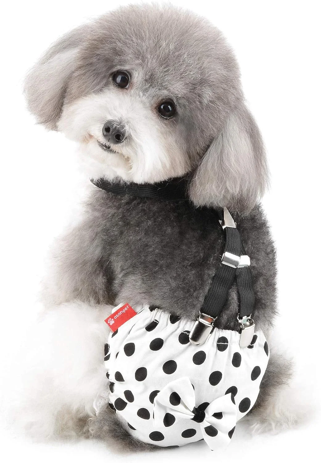 شورت بهداشتی سگ ماده Ranphy با بند شلوار، پوشک سگ قابل شستشو، لباس زیر سگ خال خال، شورت حرارتی سگ قابل استفاده مجدد، شورت ایمنی با پاپیون