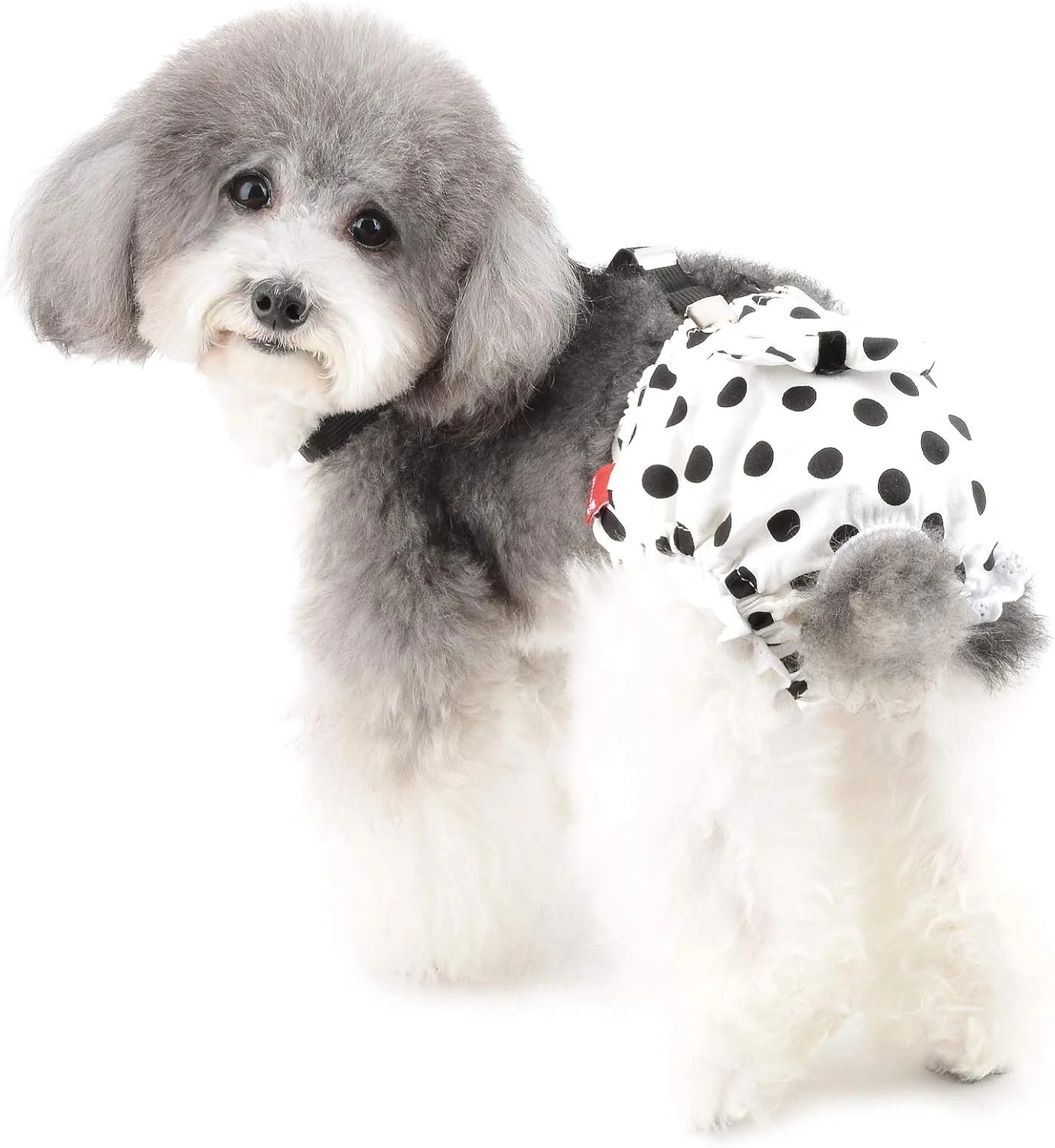 شورت بهداشتی سگ ماده Ranphy با بند شلوار، پوشک سگ قابل شستشو، لباس زیر سگ خال خال، شورت حرارتی سگ قابل استفاده مجدد، شورت ایمنی با پاپیون شورت بهداشتی سگ ماده Ranphy با بند شلوار، پوشک سگ قابل شستشو، لباس زیر سگ خال خال، شورت حرارتی سگ قابل استفاده مجدد، شورت ایمنی با پاپیون