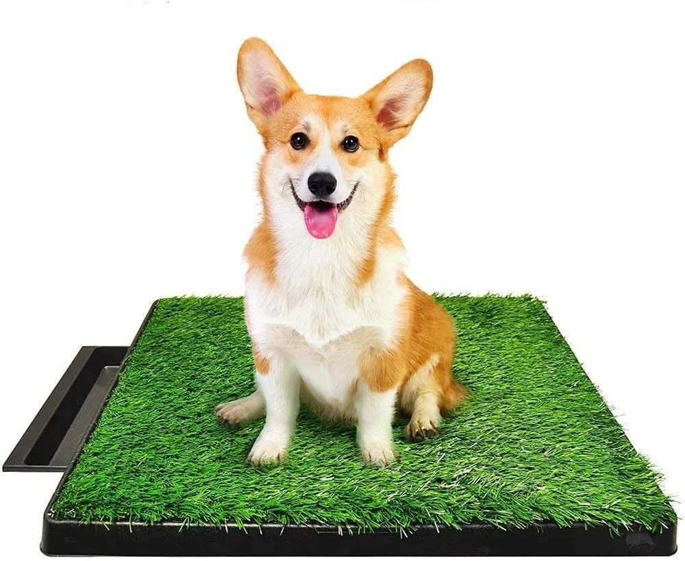 توالت سگ کیوفنگ، پد آموزش ادرار توله سگ در داخل خانه، پد چمن آموزش ادرار حیوانات خانگی، سینی زباله قابل جابجایی برای تمیز کردن آسان تر، چمن مصنوعی غیر سمی، 63cm x 51cm