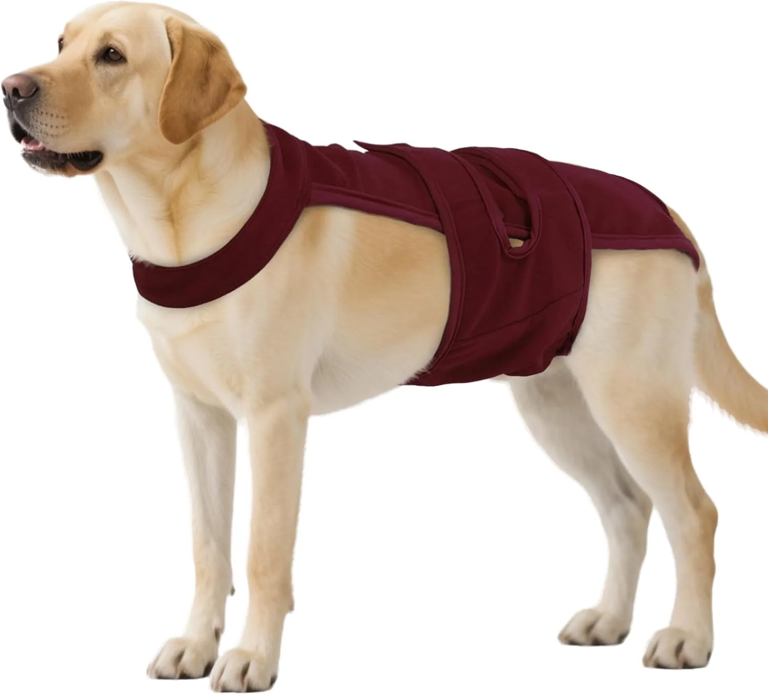 شورت بهداشتی سگ ماده QBLEEV با بندهای قابل تنظیم - شورت بهداشتی قابل شستشو برای سگ های ماده در دوران قاعدگی یا بی اختیاری ادرار، لباس زیر یکسره قابل استفاده مجدد برای حیوانات خانگی برای نژادهای کوچک تا بزرگ