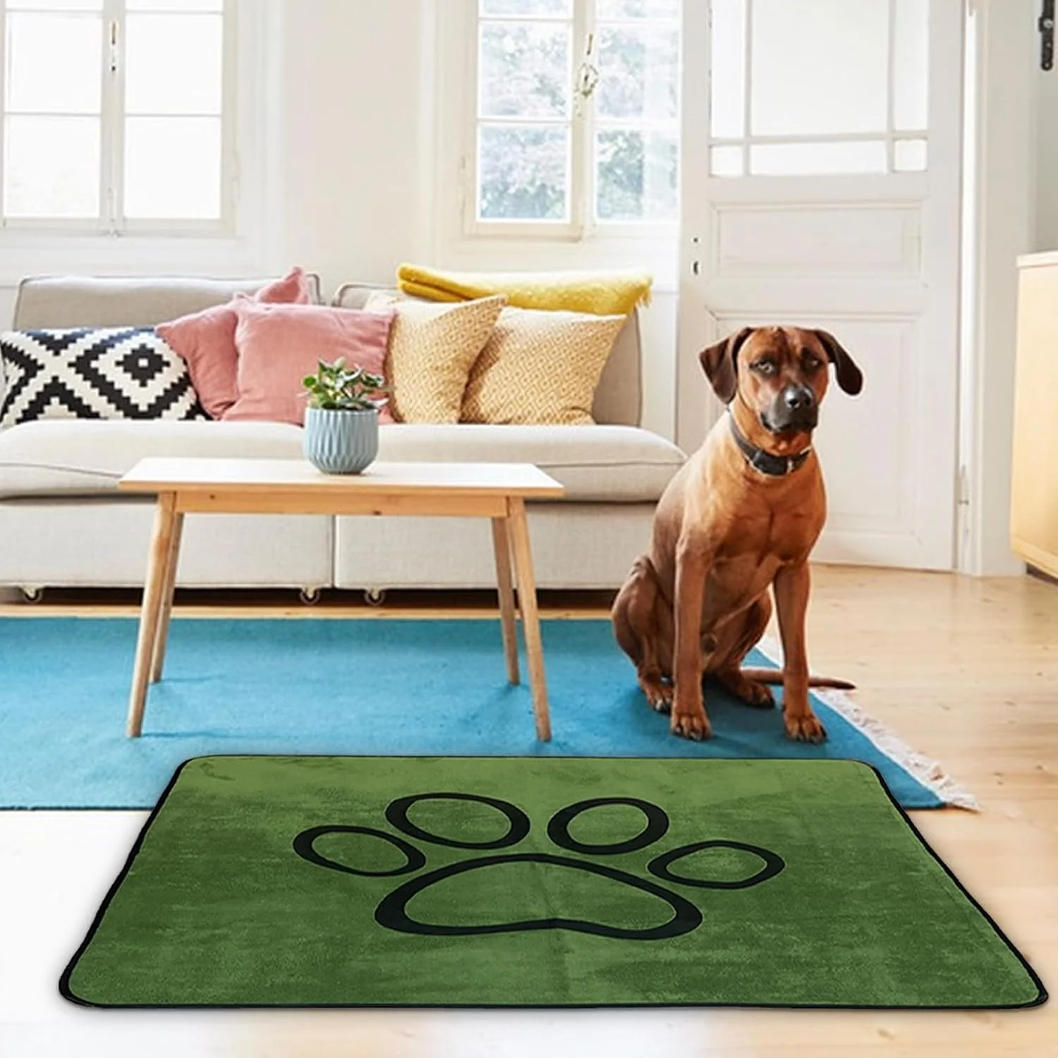 پد ادرار سگ - پدهای آموزشی جاذب توله سگ، زیره ضد آب و ضد لغزش، تشک آموزشی نرم و جاذب قابل شستشو برای آموزش در منزل، مبل، تخت، قفس داخلی، پاسیو، صندلی ماشین